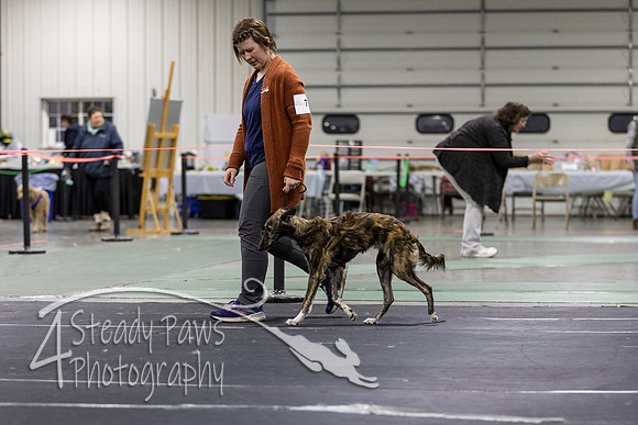 Sweeps5