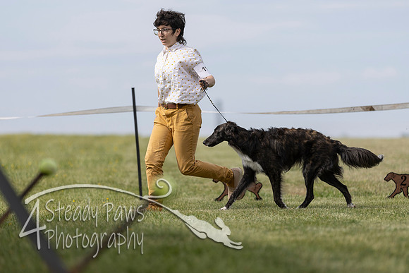 SSSShow1_242
