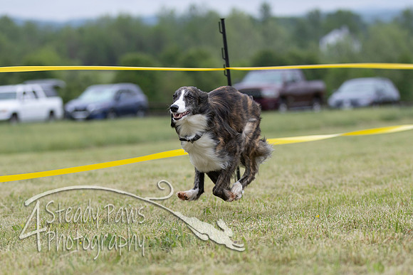 FastDash41