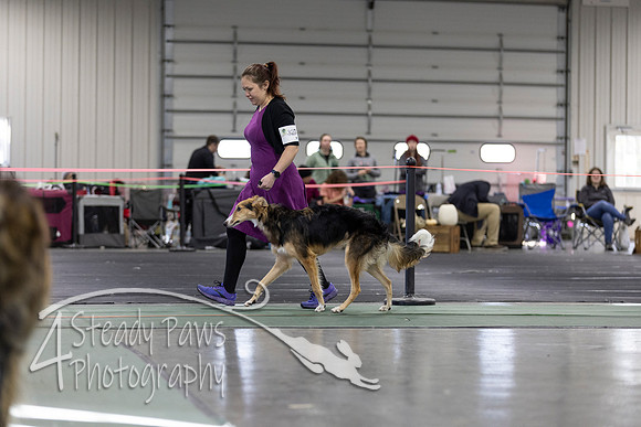 UKC19