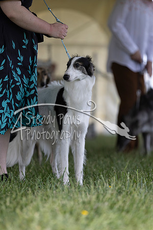 SSSShow1_266