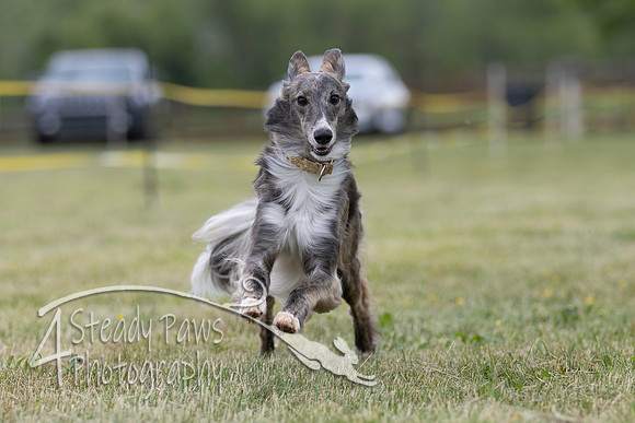 FastDash142
