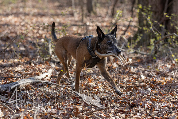 ShedHuntSat102