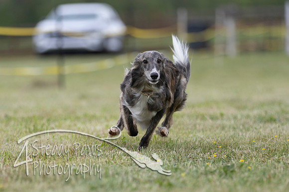 FastDash141