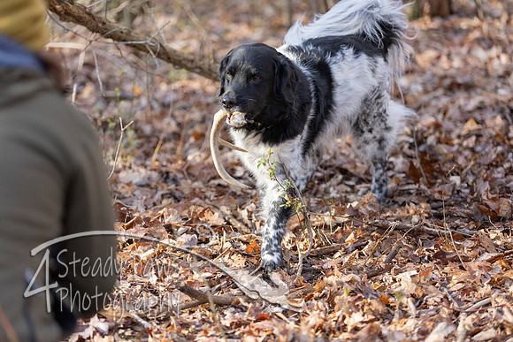 ShedHuntSat35