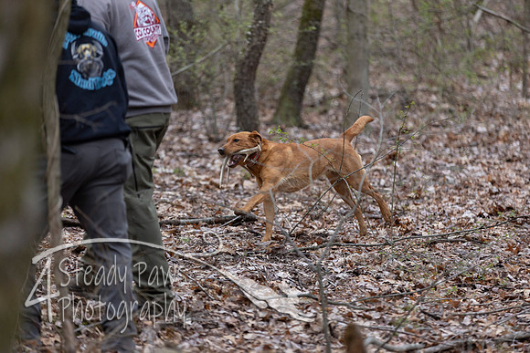 ShedHuntSat01