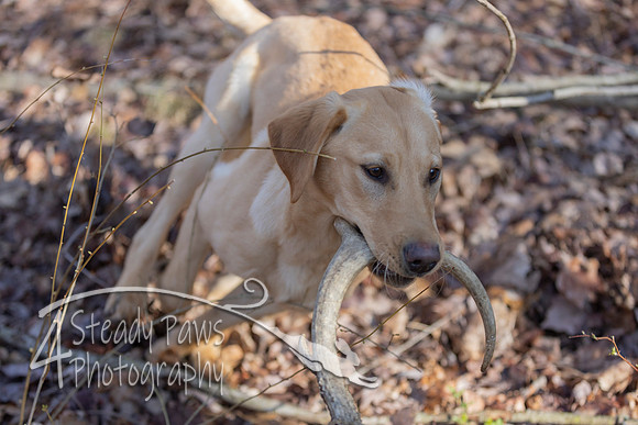 ShedHuntSat55
