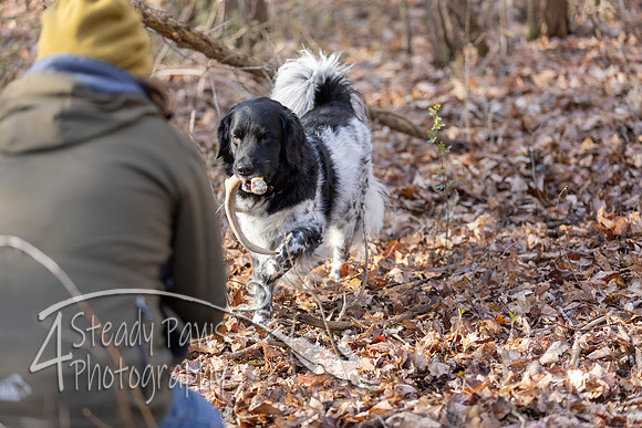 ShedHuntSat37