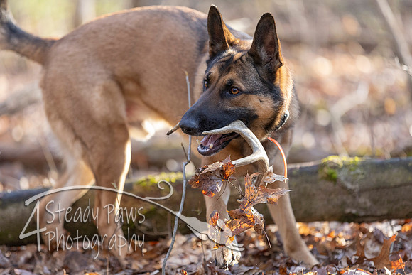 ShedHuntSat30