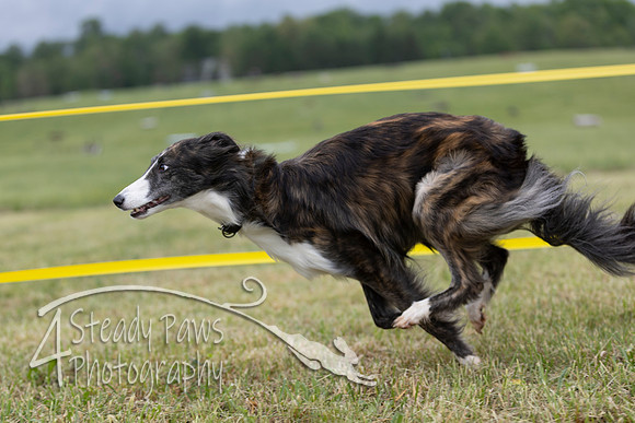 FastDash44