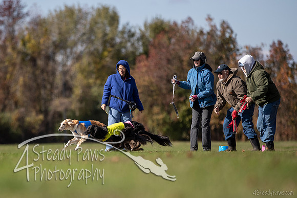 2019ECSWASFA_0213