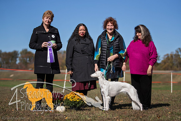 2019ECSWSatConf_3293
