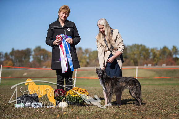 2019ECSWSatConf_3161