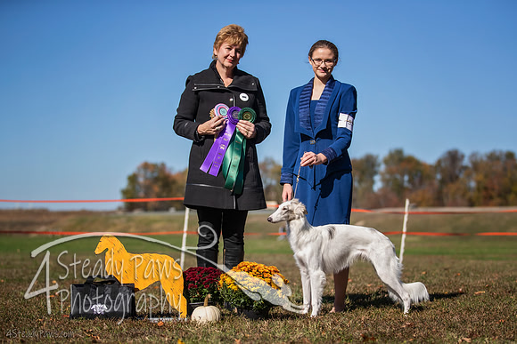 2019ECSWSatConf_3139