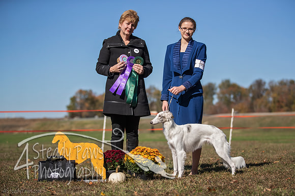 2019ECSWSatConf_3132