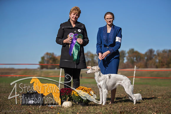 2019ECSWSatConf_3130