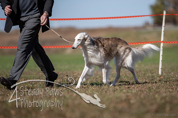 2019ECSWSatConf_2840