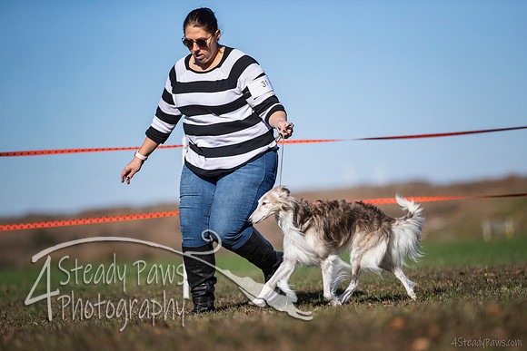 2019ECSWSatConf_1392