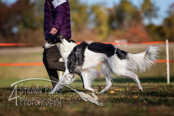2019ECSWSatConf_1330