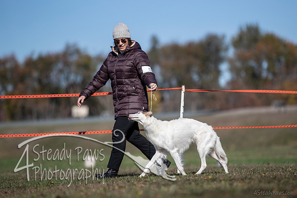 2019ECSWSatConf_1263