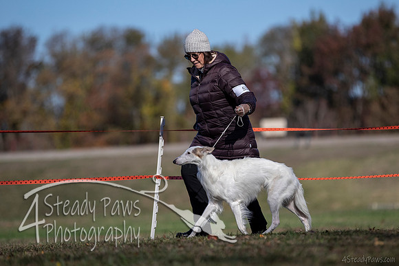 2019ECSWSatConf_1259