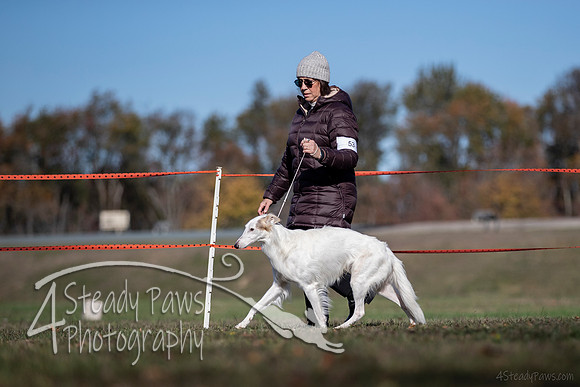 2019ECSWSatConf_1149