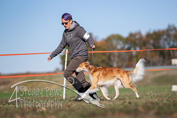 2019ECSWSatConf_0991