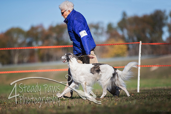 2019ECSWSatConf_0856