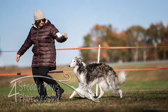 2019ECSWSatConf_0568