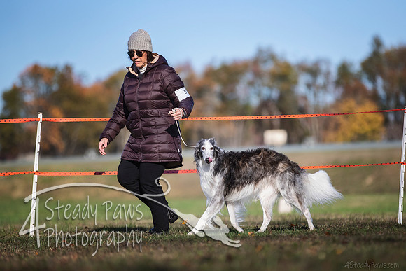 2019ECSWSatConf_0558