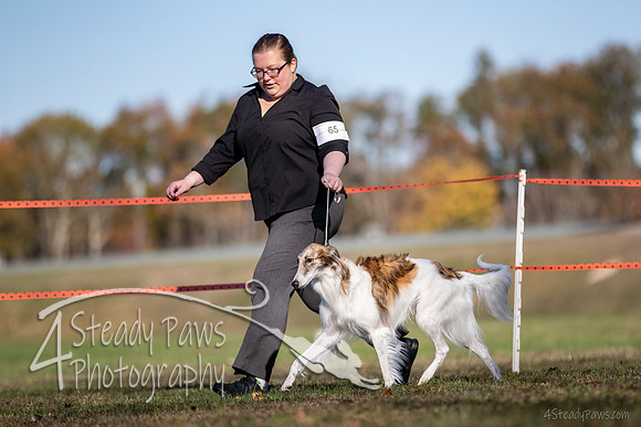 2019ECSWSatConf_0497