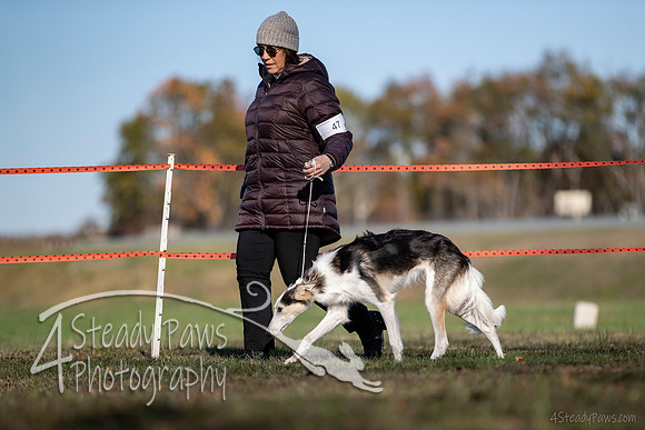 2019ECSWSatConf_0381