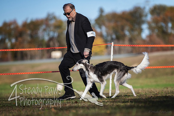 2019ECSWSatConf_0357