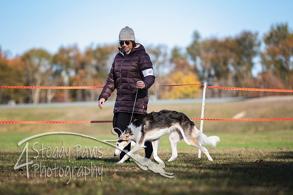 2019ECSWSatConf_0309