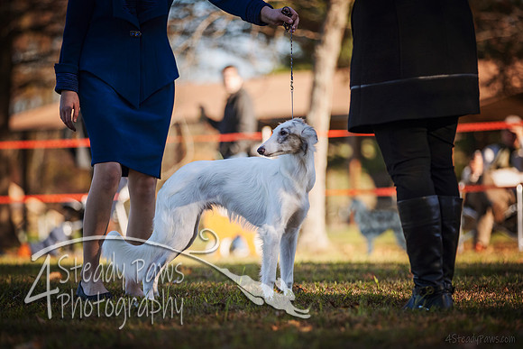2019ECSWSatConf_0263