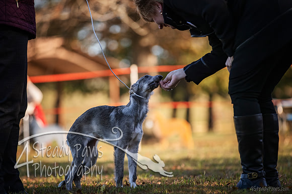 2019ECSWSatConf_0188