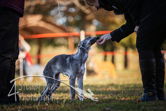 2019ECSWSatConf_0190