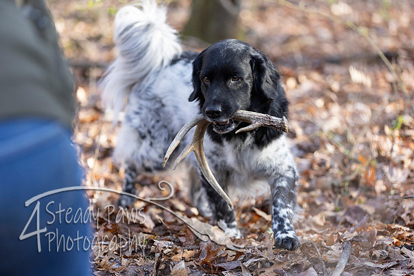 ShedHuntSat43