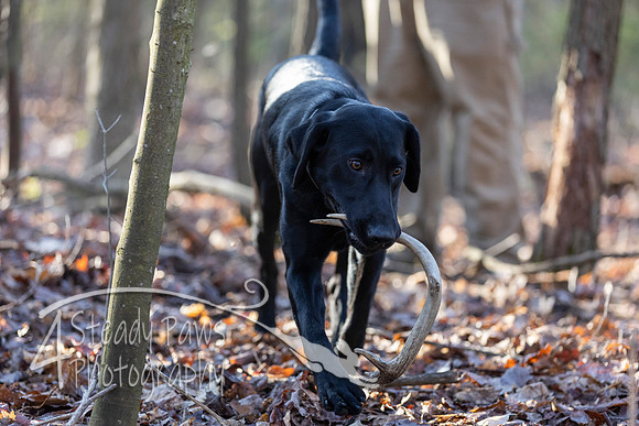 ShedHuntSat08