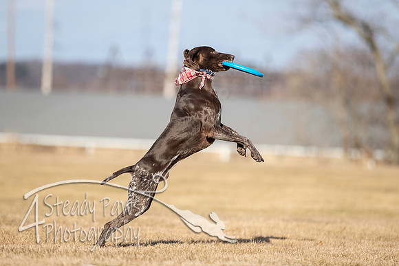 2020FebDiscLeague_2349