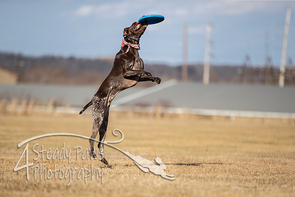 2020FebDiscLeague_2338