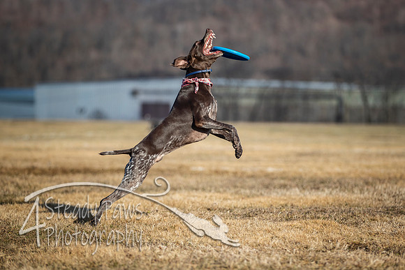2020FebDiscLeague_2266