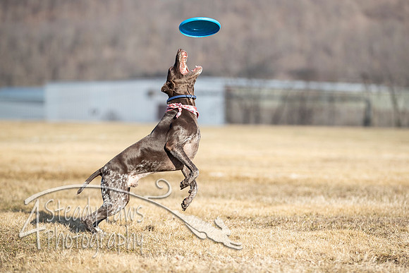 2020FebDiscLeague_2269