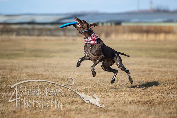 2020FebDiscLeague_2249