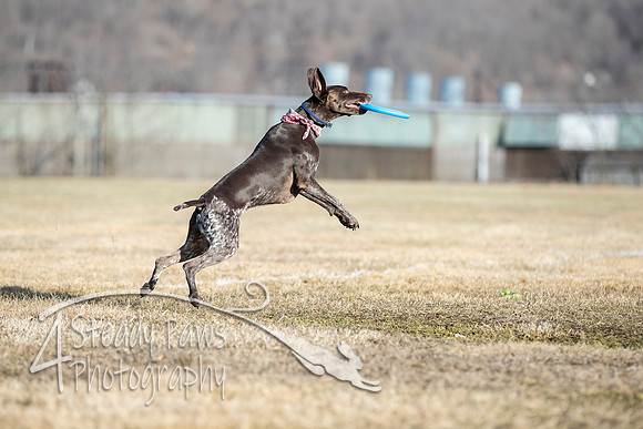 2020FebDiscLeague_2214