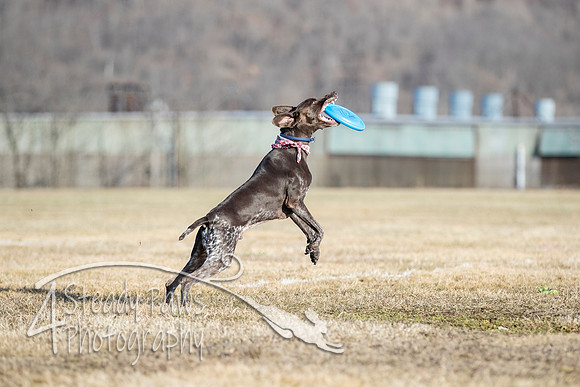 2020FebDiscLeague_2216