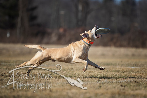 2020FebDiscLeague_2084