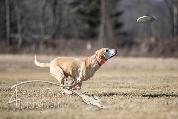 2020FebDiscLeague_2083