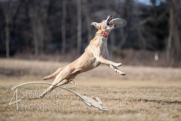 2020FebDiscLeague_2059