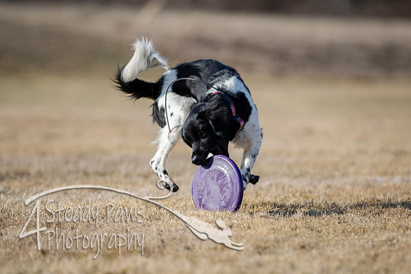 2020FebDiscLeague_2008